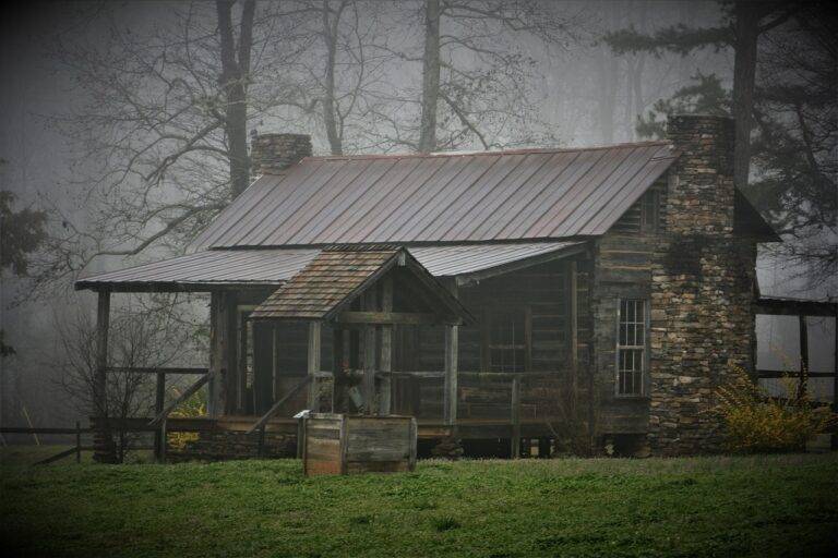 How to Design a Home Wine Cellar for Wine Collectors: Storing and Displaying Your Collection