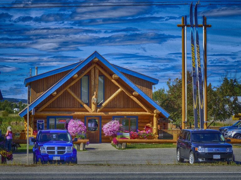 Understanding the Role of Biofuels in Reducing Carbon Emissions from Vehicles