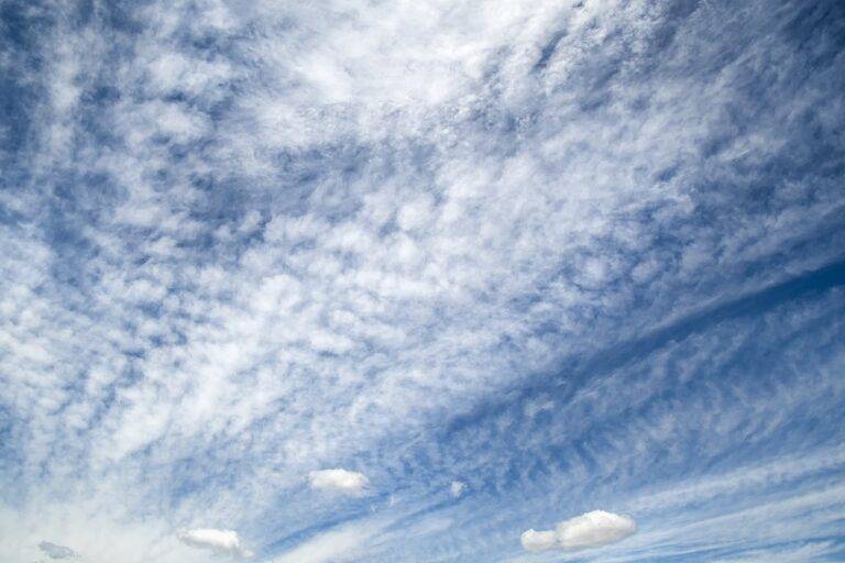 The Future of Tech in Home Appliances